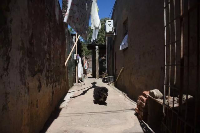 开云体育-达尔文·努涅斯的足球故事：小国小镇走出巨星