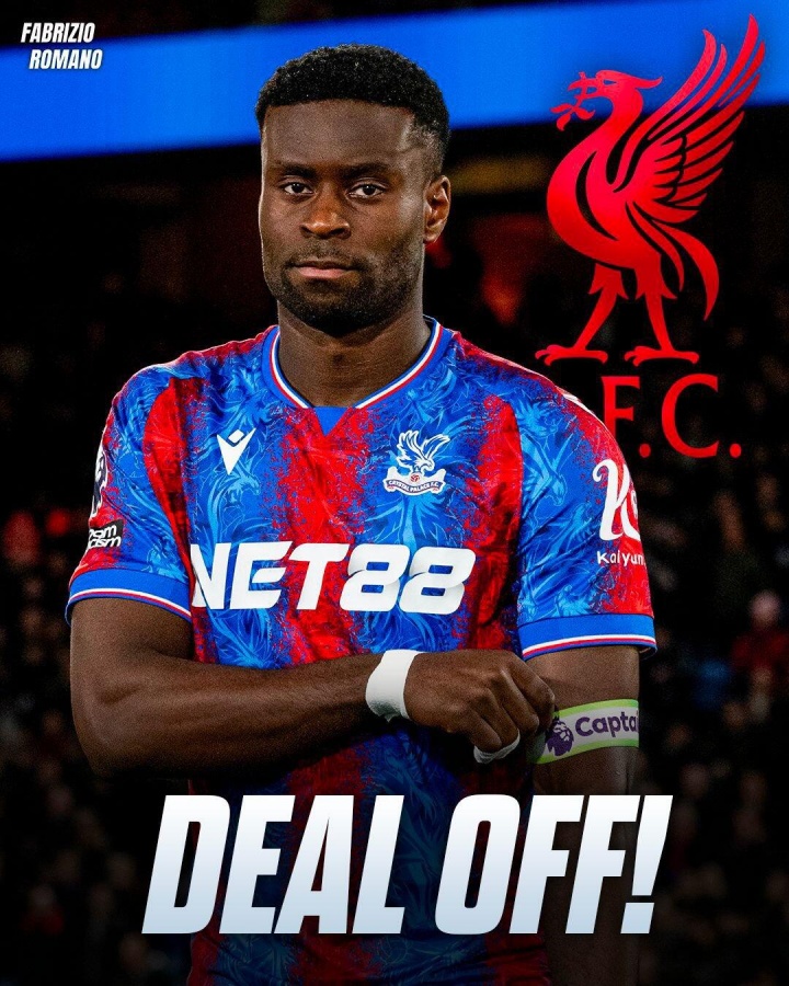 开云体育下载-早报:这树刚爬上就下树了